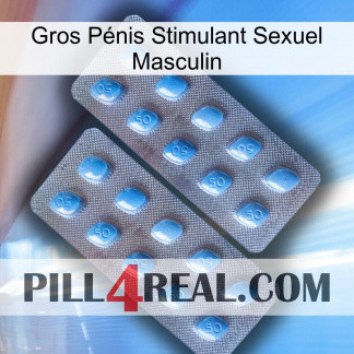 Gros Pénis Stimulant Sexuel Masculin viagra4
